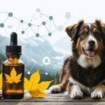 A happy dog sitting next to a CBD oil bottle against a Canadian landscape, symbolizing safe CBD use for dogs in Canada within a legal and scientifically-informed framework.